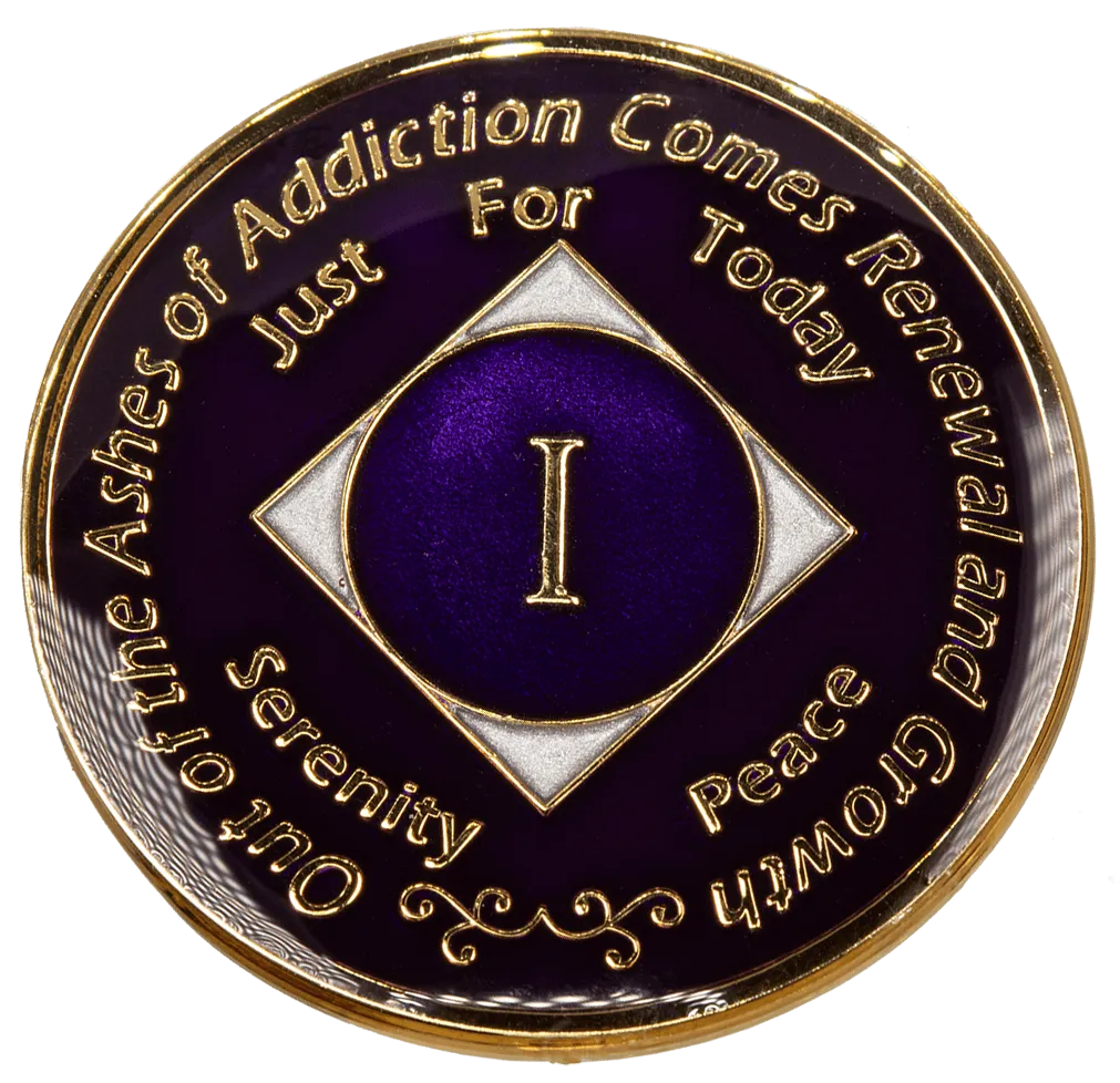 #N39.  NA Purple Silver Coin (1-45)
