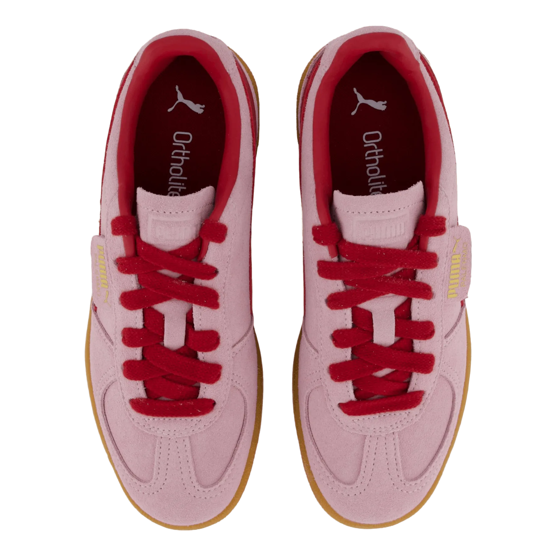 Palermo Rose Mauve-dark Crimson