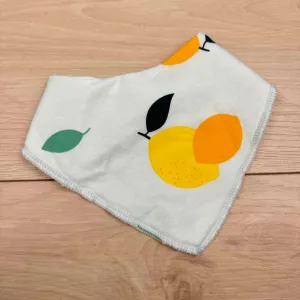 Zippy jamz BIB